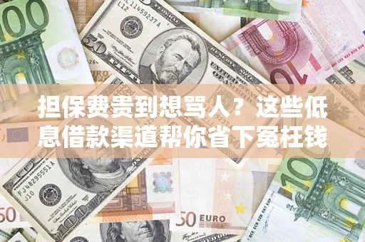 济南担保费贵到想骂人？这些低息借款渠道帮你省下冤枉钱