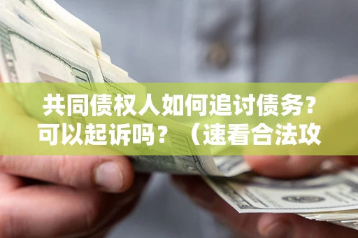 济南共同债权人如何追讨债务？可以起诉吗？（速看合法攻略）